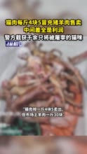 猫肉每斤4块5冒充猪羊肉售卖，中间差全是利润？警方截获千余只将被屠宰的猫咪