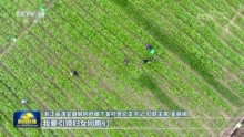 为中国式现代化建设贡献巾帼智慧和力量——习近平总书记在同全国妇联新一届领导班子成员集体谈话时的重要讲话引发热烈反响