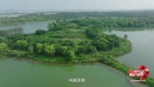 中国式现代化·青年的回答丨长江上的“秘境之地”有多少国宝？