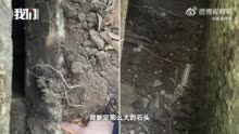 4人模仿盗墓小说组团点蜡挖坟被抓