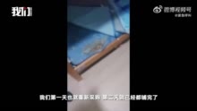 天津一中学宿舍床垫里填充干草 校方回应：均已更换 系已离职的校长采购