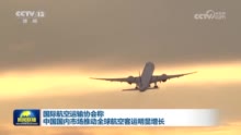 国际航空运输协会称中国国内市场推动全球航空客运明显增长