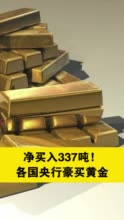 净买入337吨！各国央行豪买黄金