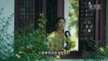 秀我中国｜“90后”民乐酷女孩：用一把阮弹出传统文化“新声音”