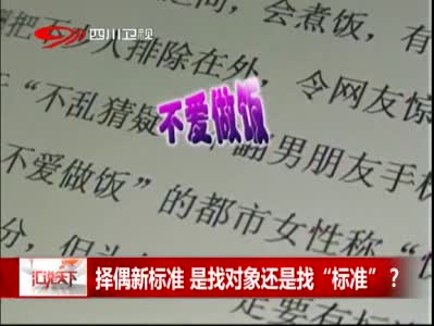 《汇说天下》 择偶新标准 是找对象还是找标准