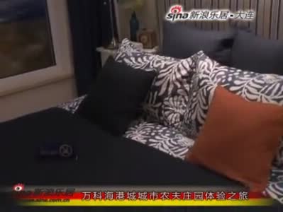 大连海昌集团老总判刑(2)