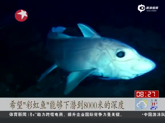 《看东方》 彩虹鱼科考:向8000米海底世界进发