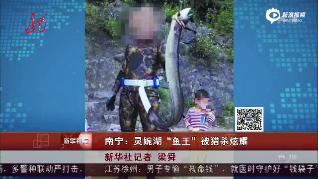 广西“鱼王”遭猎杀 猎鱼者照片和视频曝光