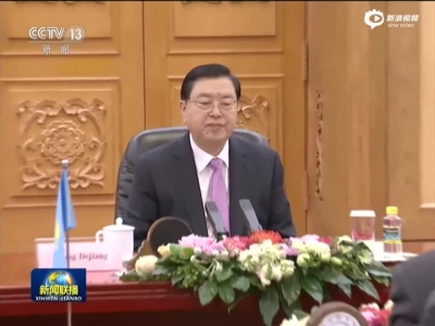 张德江与哈萨克斯坦上院议长举行会谈
