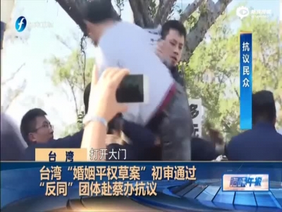 台湾“婚姻平权草案”初审通过  “反同”团体赴蔡办抗议