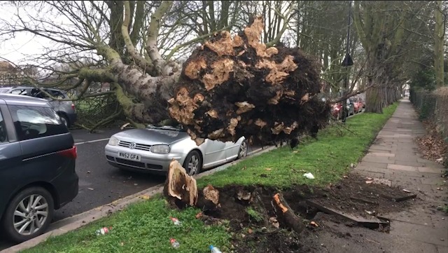 风暴袭击伦敦 大树连根拔起横在路中