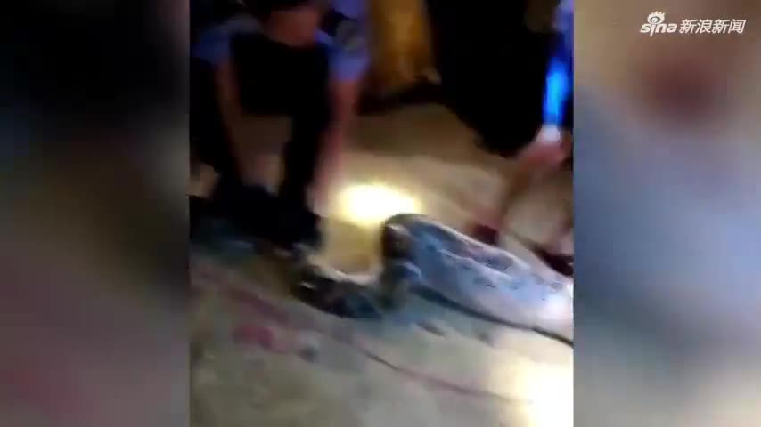 视频：大蟒蛇闯入居民家 被抓后吐出一整只狗