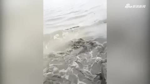 视频：男子岸边刚躺下即遇塌方 瞬间被泥水淹没
