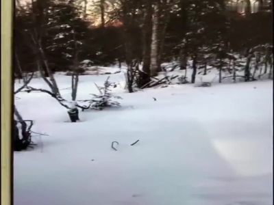 视频：圣诞节程序员寄雪求婚 女友最后收到一滩雪水