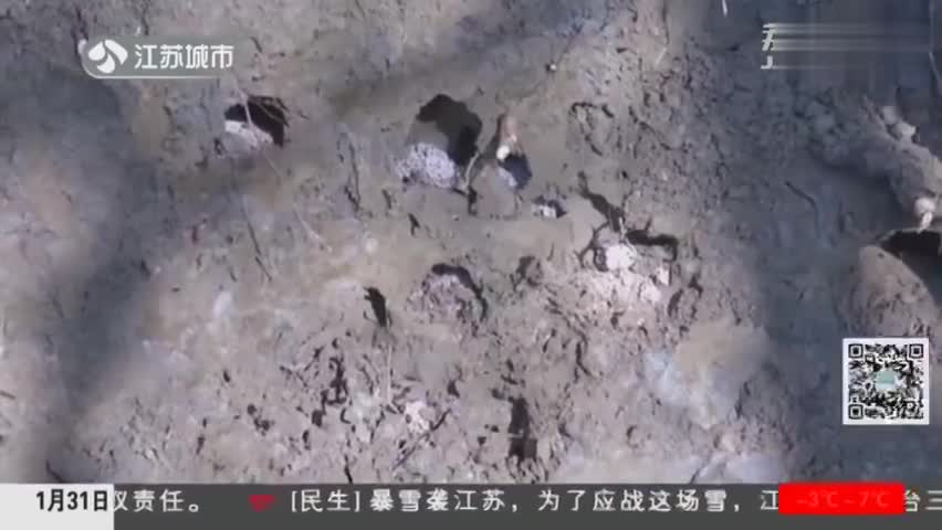 视频：10米“蚁巢”被挖出 30年蚁王蚁后被活捉