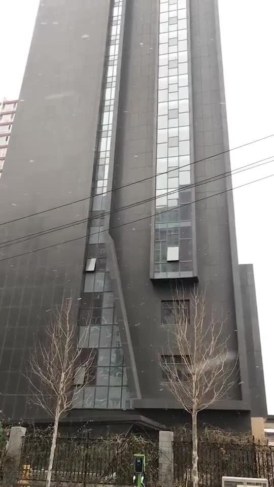 视频-北京2019年初雪 网友：足足下了一分钟