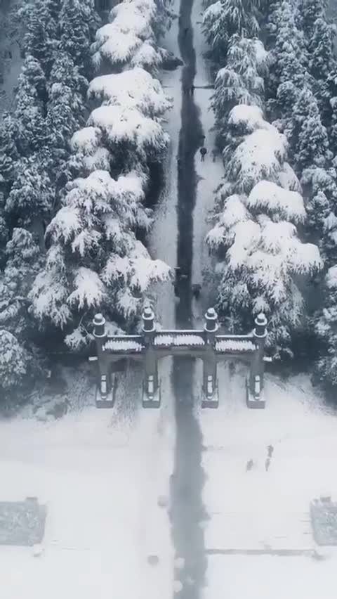 视频：南京雪后变金陵 雪景美不胜收