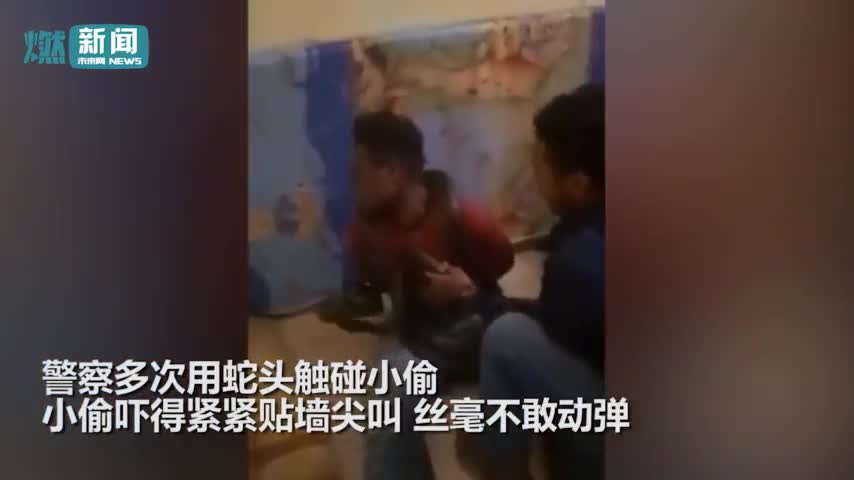 视频-男子偷手机遭2米活蛇缠身逼供 当场歇斯底里