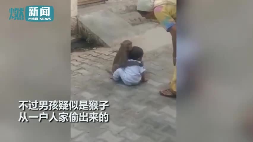 视频:猴子偷两岁小孩在路边玩耍 妇女想抢回孩子猴
