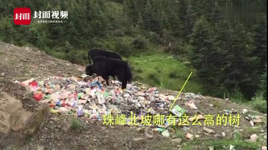 视频-垃圾站照片冒充珠峰照片 登山队员：我们不背