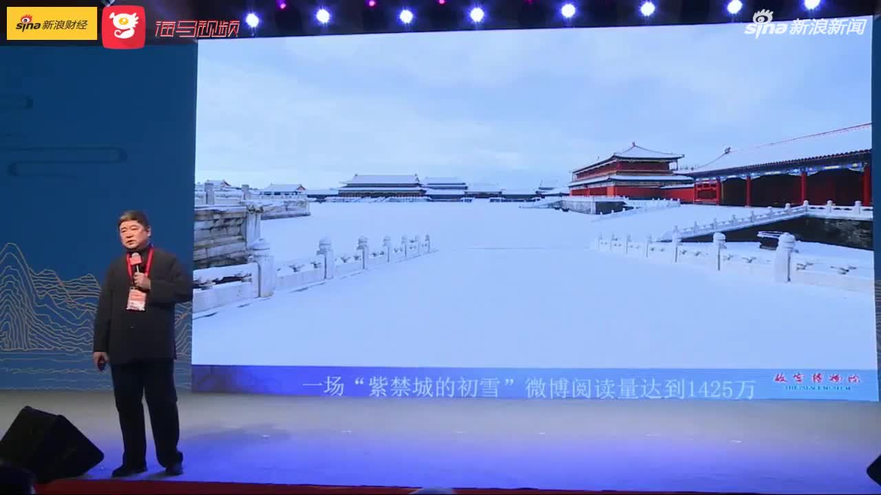 视频-故宫雪景成网红 单霁翔：故宫不下雪我们都急