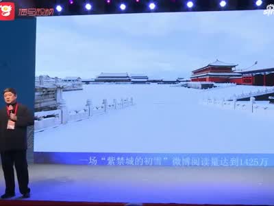 视频-故宫雪景成网红 单霁翔：故宫不下雪我们都急了