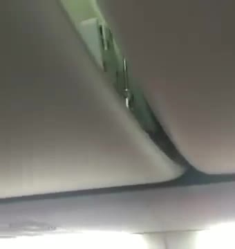 视频-印尼狮航一航班行李架里惊现大蝎子 悠闲爬行