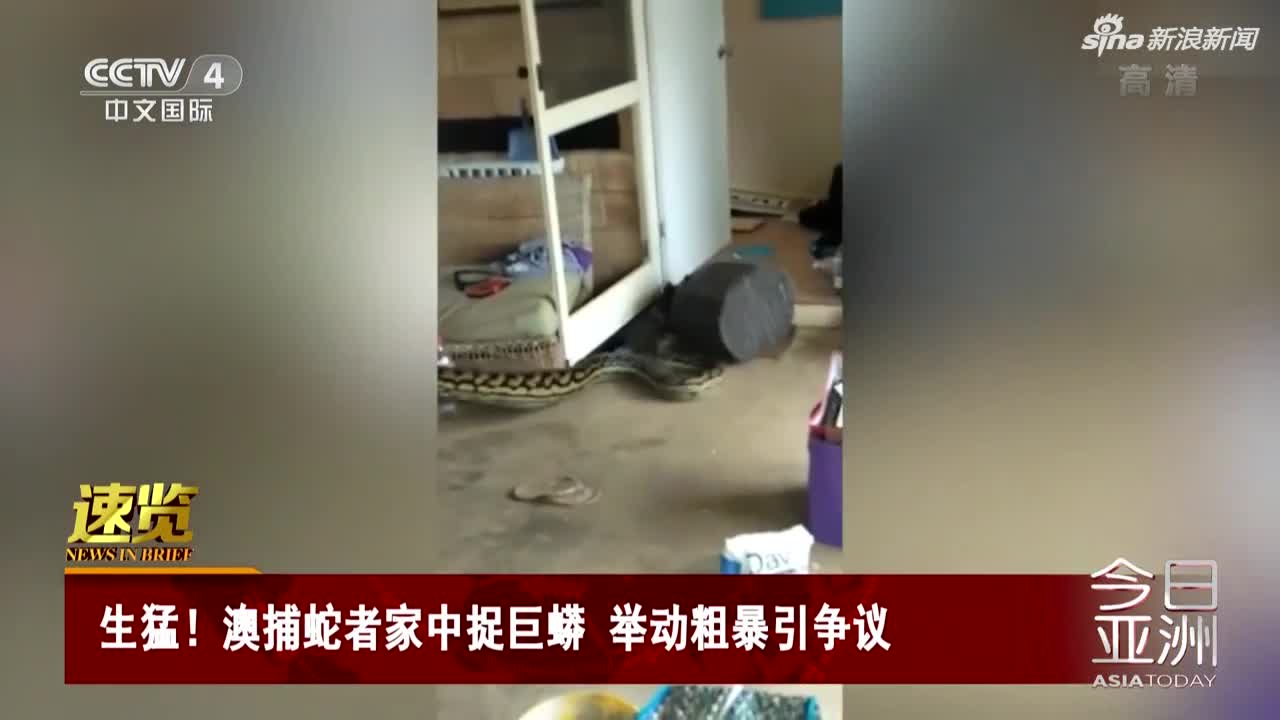 视频：生猛！澳捕蛇者家中捉80斤巨蟒 粗暴拍打蛇