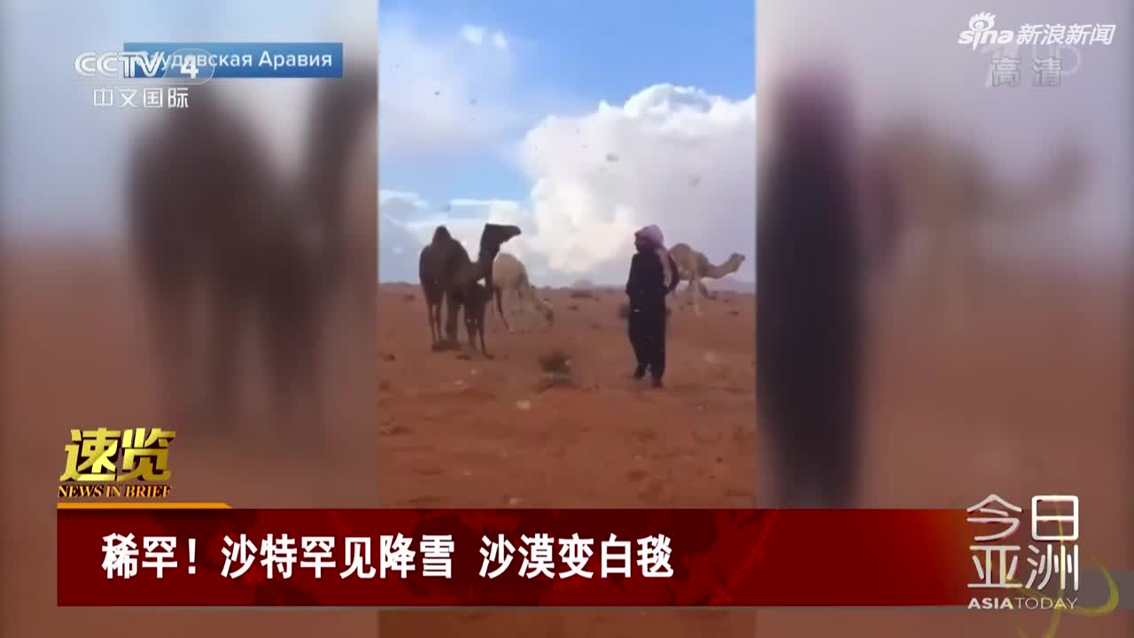 视频|沙特罕见降雪 沙漠被盖上“白毯”