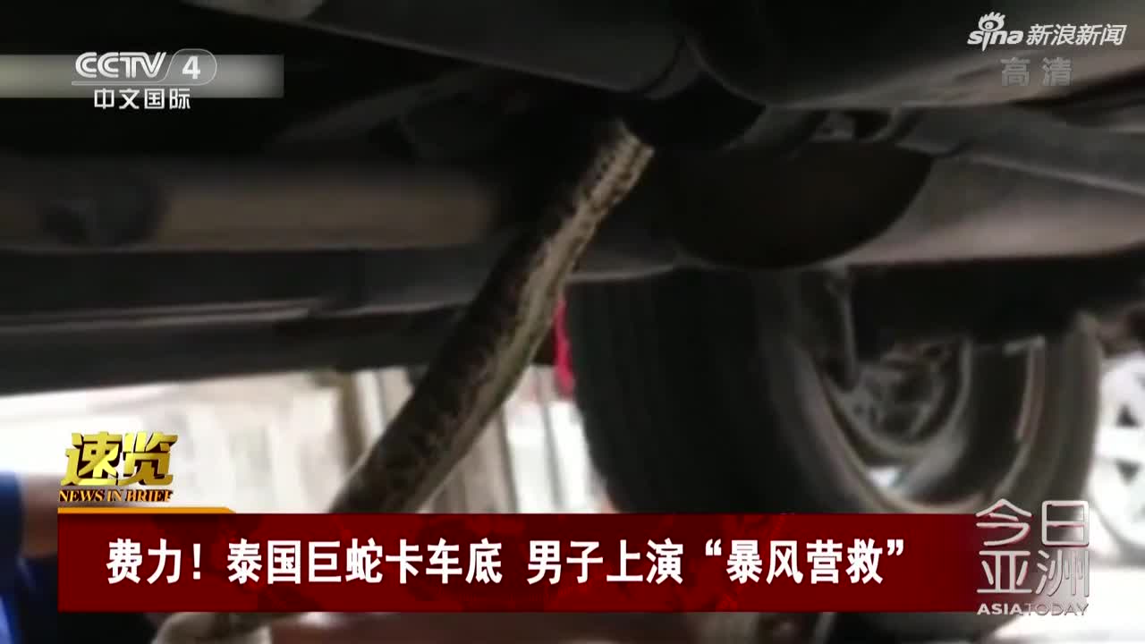 视频：泰国巨蛇卡车底 男子上演“暴风营救”