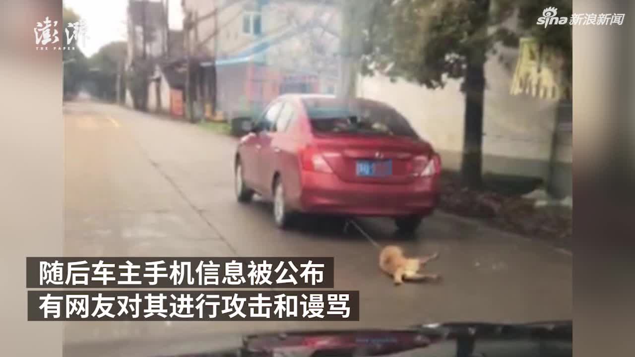 视频：小伙借朋友车绑狗拖行 朋友“躺枪”被人肉