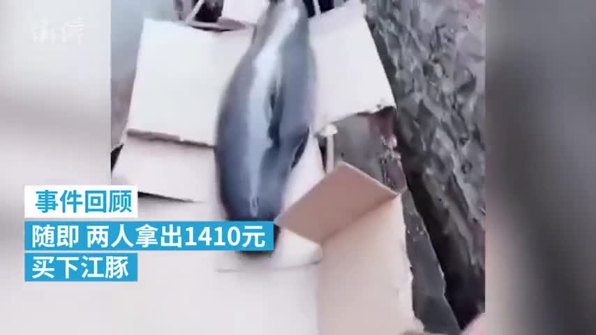 视频：广东放生江豚两青年分别获奖500元