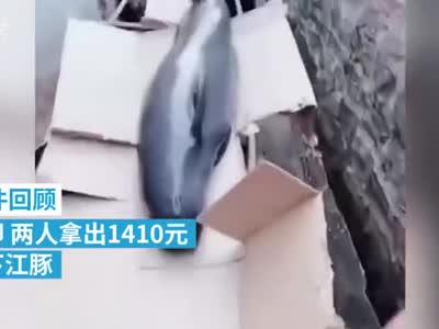 视频：广东放生江豚两青年分别获奖500元