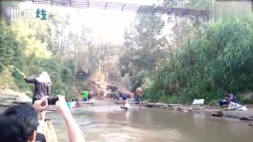 视频：大象接连袭击两个木筏 游客跌落水中不断尖叫