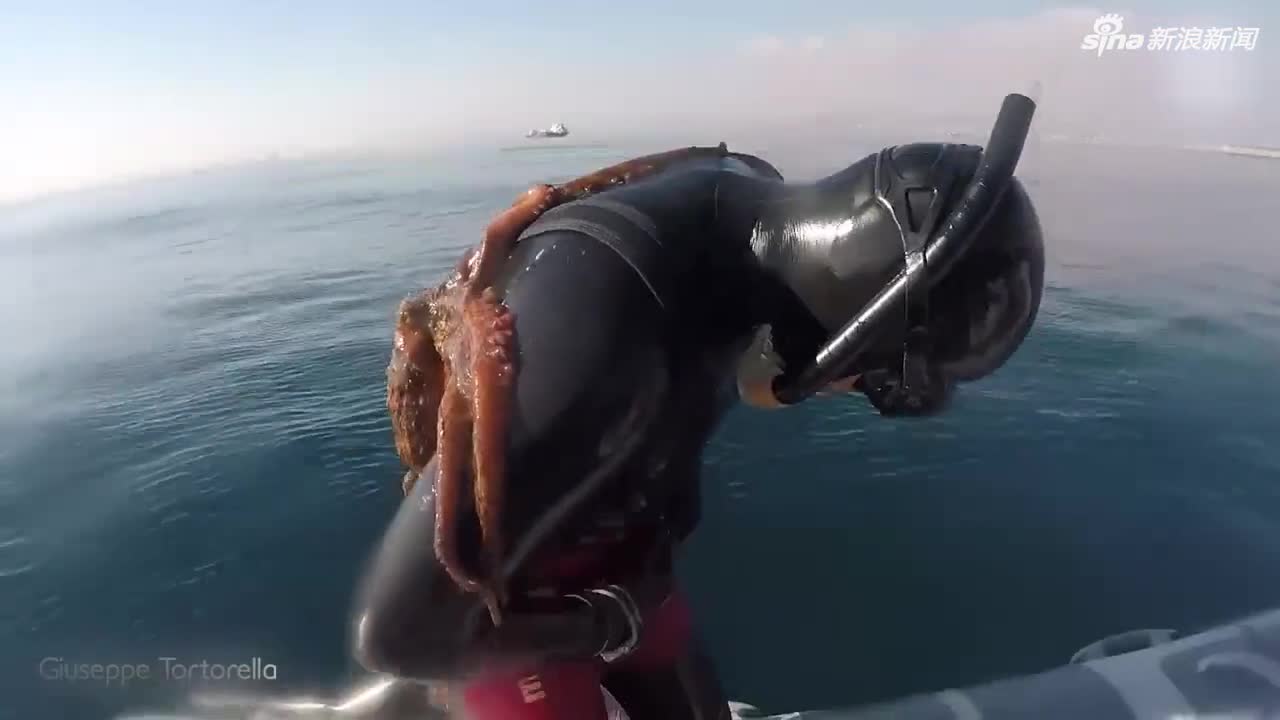 视频：男子下海潜水 浮上水面时背后紧紧黏住一只大