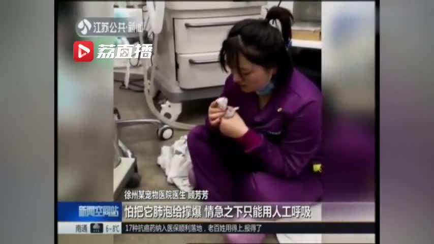 视频：刚出生的小猫呼吸衰竭 医生小姐姐人工呼吸抢