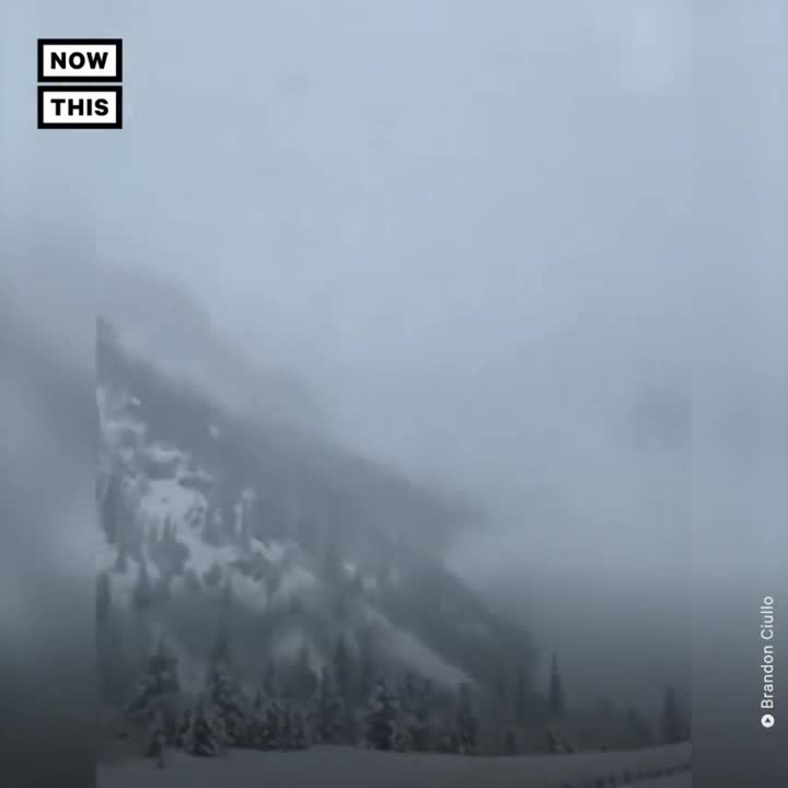 视频：美国科罗拉多州一山上发生雪崩 路过车辆拍下