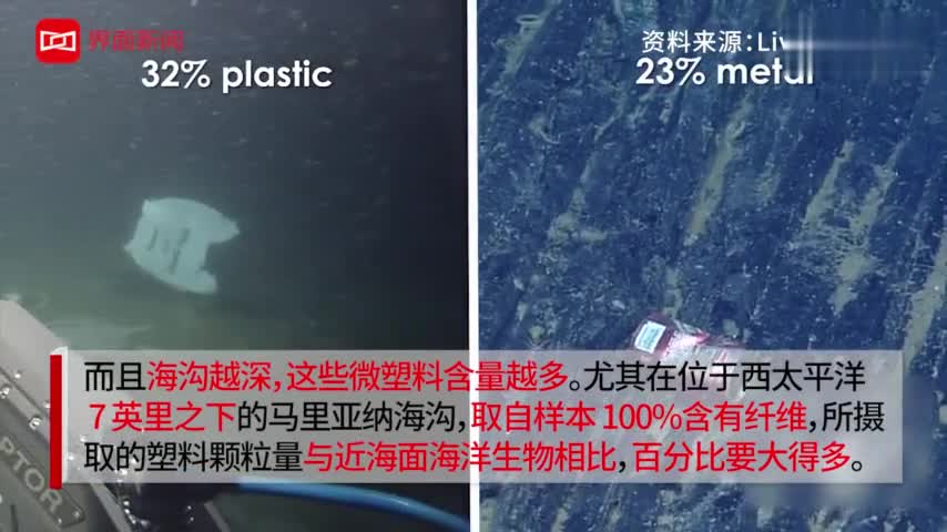 视频：科学家首次发现 塑料已经布满世界海沟最深处