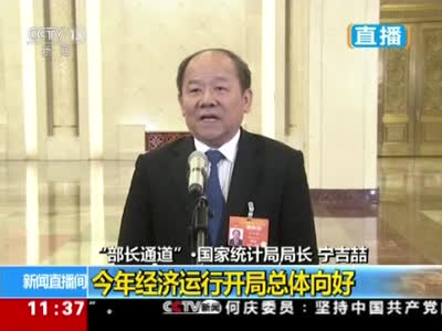 视频-宁吉喆：今年经济运行开局总体向好
