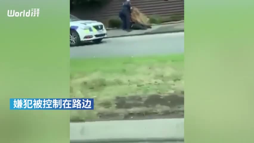 视频-疑似新西兰枪击案嫌犯被捕画面：警察将歹徒拖