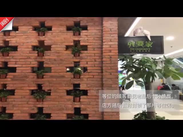 视频|外婆家再曝卫生乱象：上海“外婆家”一门店内