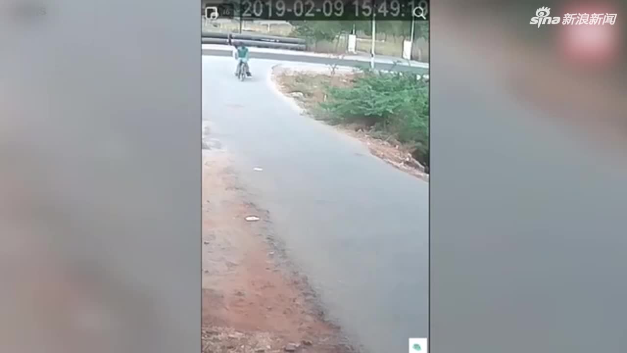 视频：眼镜蛇向骑车男子发起进攻 下一秒就被卷进车