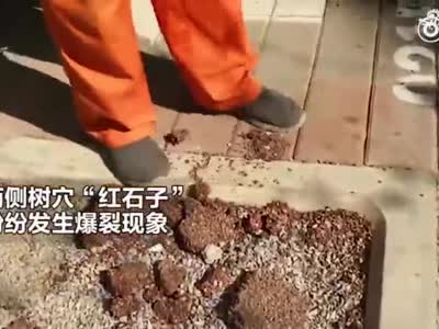 郑州人行道树穴红石子纷纷炸裂 市民:多次翻工太浪费