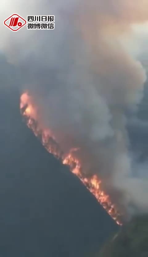 视频：凉山木里火灾过火面积已达15公顷 火势仍未
