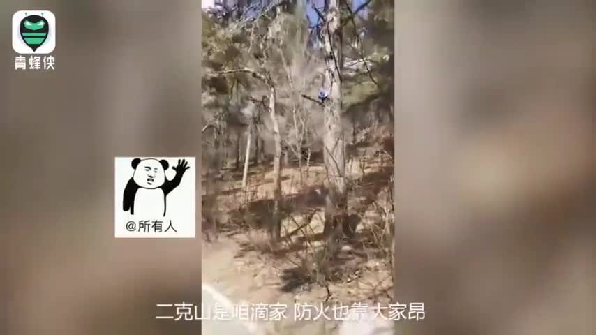 视频：黑龙江“魔性消防宣传语”走红网络 地道东北