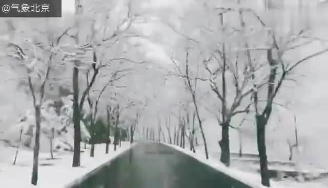 视频：北京下雪啦！门头沟树梢上堆满积雪