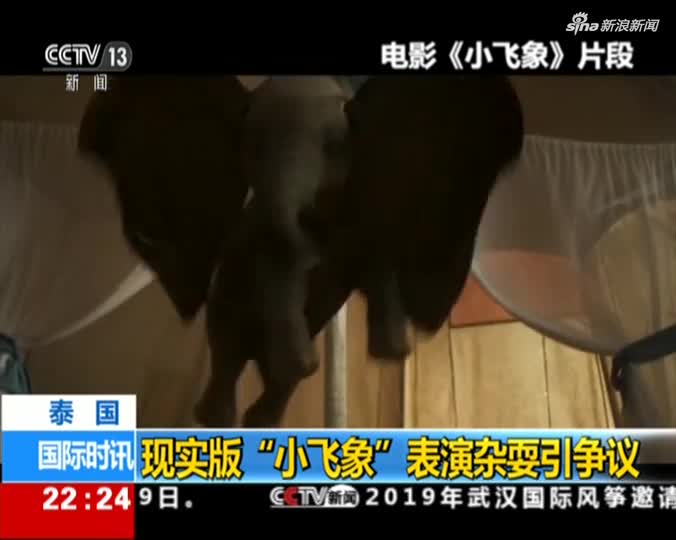 视频-泰国动物园小象瘦成皮包骨 被逼进行倒立