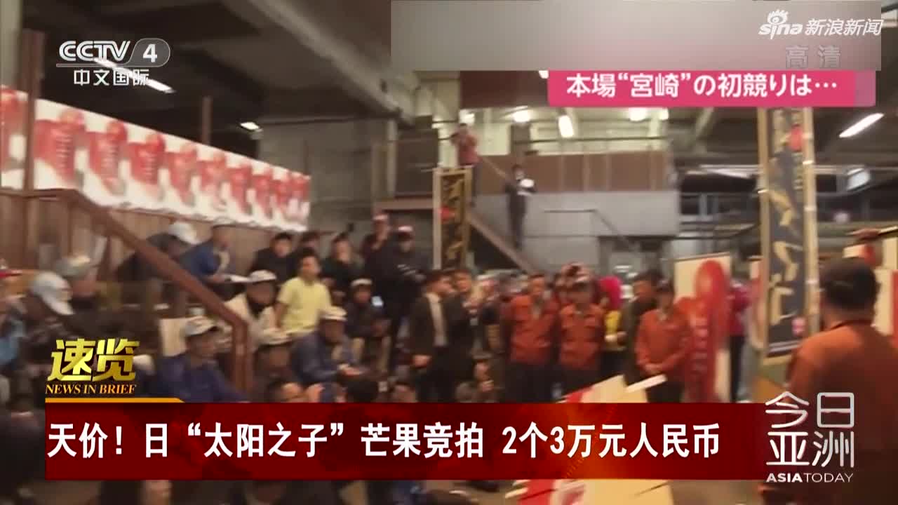 视频：日本“太阳之子”芒果再拍天价 2个卖3万人