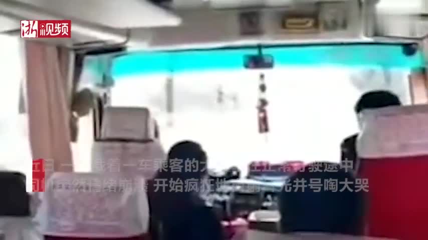 视频：大巴司机行驶中自扇耳光号啕大哭 乘客吓得大