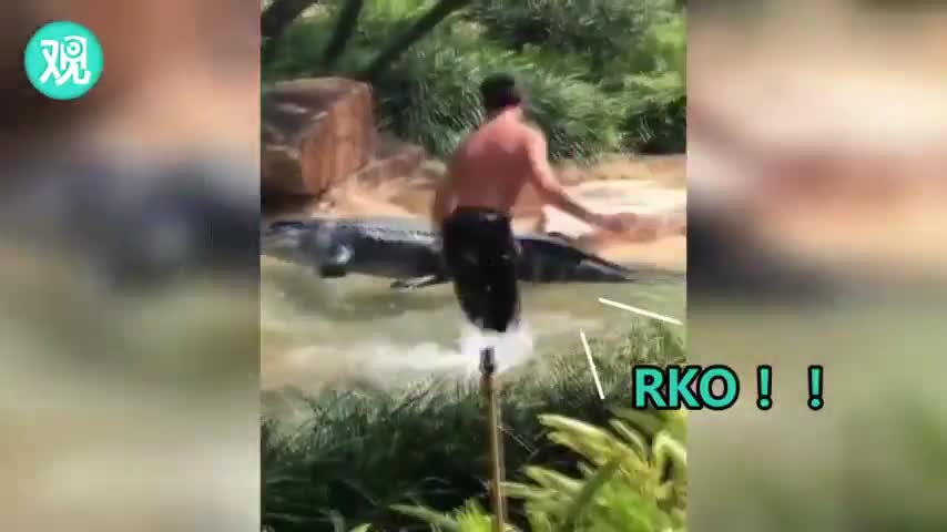 视频：作死少年和假鳄鱼摔角 结果被警察抓了